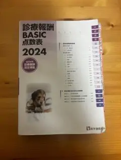 診療報酬点数表 2024