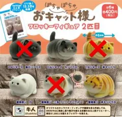 おキャット様　ガチャ 　コンプリート 2024年2月28日(水)｜新商品案内】「牛人のぽちゃぽちゃお