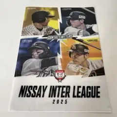 阪神タイガース　交流戦限定　クリアファイル