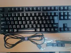 FILCO Majestouch Convertible2 Tenkeyless