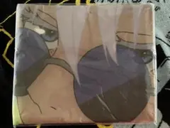 Item thumbnail for item 314bb52d-d327-4808-9c25-526b3e33fdb1