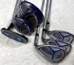 Item thumbnail for item 5585ec1b-b0fa-4300-817f-ed6e45d7b314