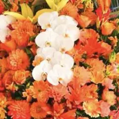 Tonton111様　専用です