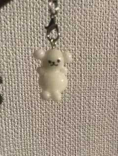 くまもどき