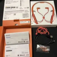 SONY WI-H700(R)