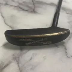 ■ダイワ DAIWA PROSTROKE EX-06 L型パター■