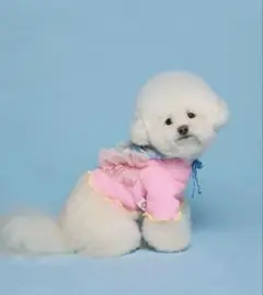 Item thumbnail for item 5f69bea5-a2c2-416f-8e98-531423c2bdf6