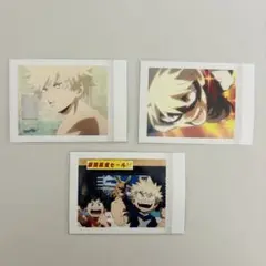 ヒロアカ　ぱしゃこれ　爆豪勝己