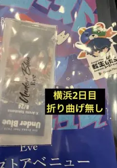 Eve Under Blue 横浜2日目入場特典 チケット
