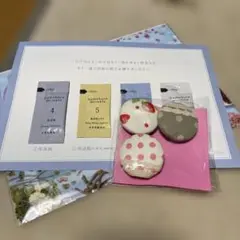 ドモホルンリンクル サンプルとハンドメイドマグネット