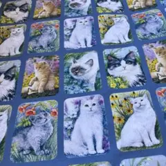 1㍍長新仕様猫の小パネル綿シーチングのプリント生地ハギレ布