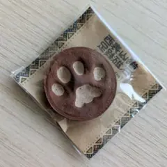 イリオモテヤマネコ 肉球 マグネット　沖縄　八重山　西表島　限定