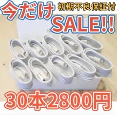 30本セットiPhone 充電ライトニングケーブル