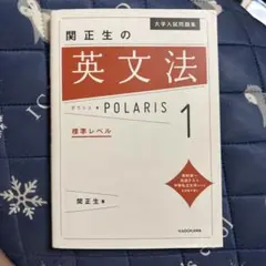 大学入試問題集 関正生の英文法ポラリス 1 標準レベル