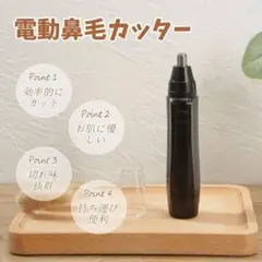 Item thumbnail for item 5d5ca189-840b-4993-b492-d4998059a8a1