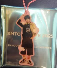 SMTOWN LIVE ランダムアクキー　 ウンソク