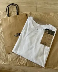 【新品・タグ付き】ザノースフェイス ラウンドへム ビッグT 【Mサイズ】