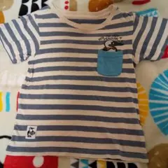 CHUMS 青と白ストライプ Tシャツ