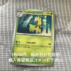 ベイリーフ　在庫2