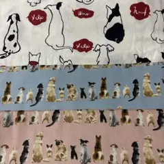 後ろ向きワンコセット