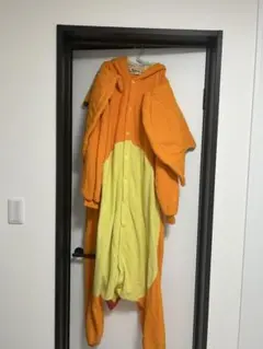 ポケモン着ぐるみ