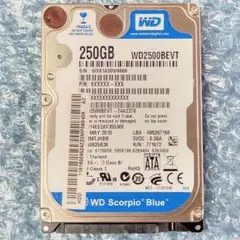 〔WD Blue〕2.5inHDD 250GB【ジャンク品扱い】