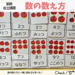 数の数え方 モンテッソーリ 知育 療育 発達支援 特別支援 保育