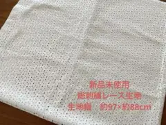 Item thumbnail for item 78f05725-050d-4a01-bec1-a5dc5f6c3adf