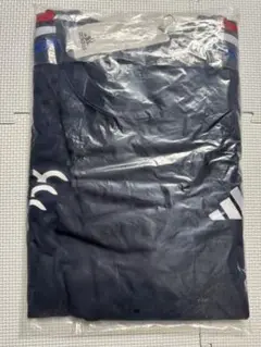 Item thumbnail for item c8d85bab-6016-4c84-a869-16a22c6cc8da