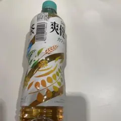 爽健美茶