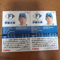エラーカード　176m　伊藤大海 2024年 カルビー プロ野球カード