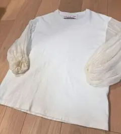 dahl'ia × FREAK'S STORE　別注シアーバルーン袖Tシャツ