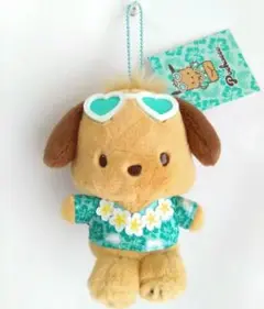 新品未使用★日焼けポチャッコ　サンリオ　トコナツバケーション