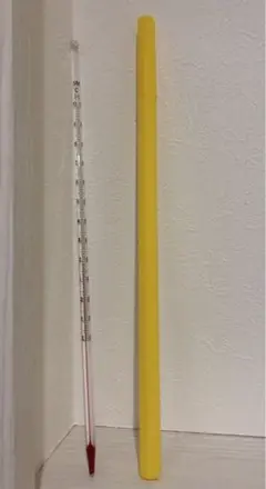 温度計 ケース付き 実験