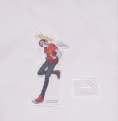 crazy raccoon 一番くじ　 アクリルスタンド だるまいずごっど