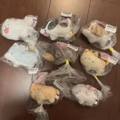 新品未開封 つぶらな瞳の犬と猫 8個セット