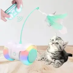 Item thumbnail for item ec193f72-f0ca-4dbe-a13d-95d552678ef0