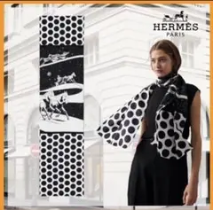 希少 HERMES スペースダービースカーフをモチーフに 新品 正規品