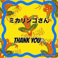 専用。ネコポス