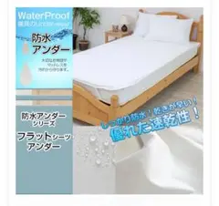 Item thumbnail for item fbe1acbb-9c75-4dca-b6b6-2979b5a47f4d