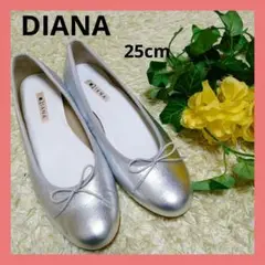 DIANA ダイアナ シルバー バレエシューズ フラット リボン 大きい 25