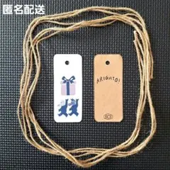 Item thumbnail for item 296c73f8-a66b-4483-82f6-a54896fa83c9