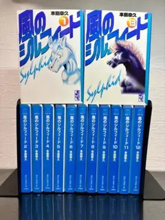 風のシルフィード 文庫版 全13巻セット