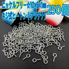 ニッケルフリー☆10×5×1㎜ ネジ式ヒートン＊250個 （プラチナ)
