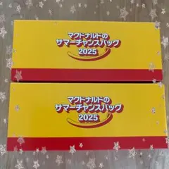 マクドナルドのサマーチャンスバッグ2025 ２個セット