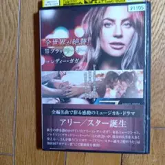 アリー/スター誕生 DVD レディ・ガガ主演