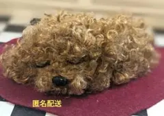 夢見るねんねの茶色の犬（プードル）　モール人形　モールアート