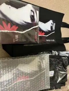 最終価格　藤田幸也　D≒SIRE 限定　独白1999 BOX Kαin