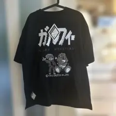 ガルフィー×ポケモン