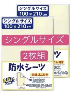 Item thumbnail for item ce66cdfd-0438-467b-a364-ee5f37a4aacb